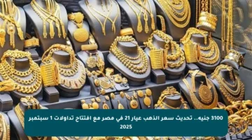 3100 جنيه.. تحديث سعر الذهب عيار 21 في مصر مع افتتاح تداولات 1 سبتمبر 2025